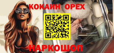 крисы Аргун