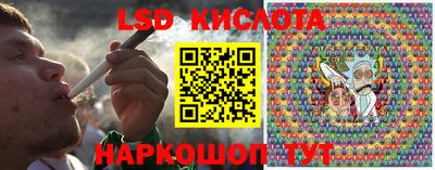 крисы Аргун