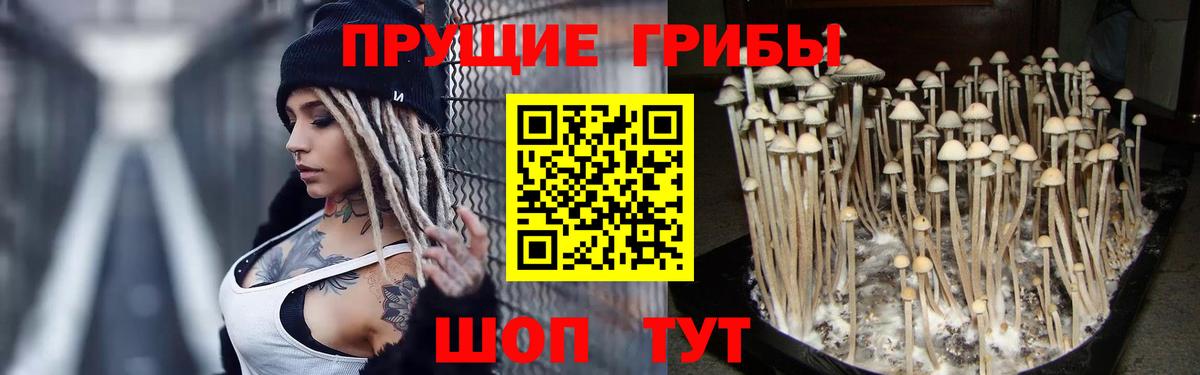 Будённовск  Галлюциногенные грибы GOLDEN TEACHER  Галлюциногенные грибы мухоморы  Вход с VPN 
